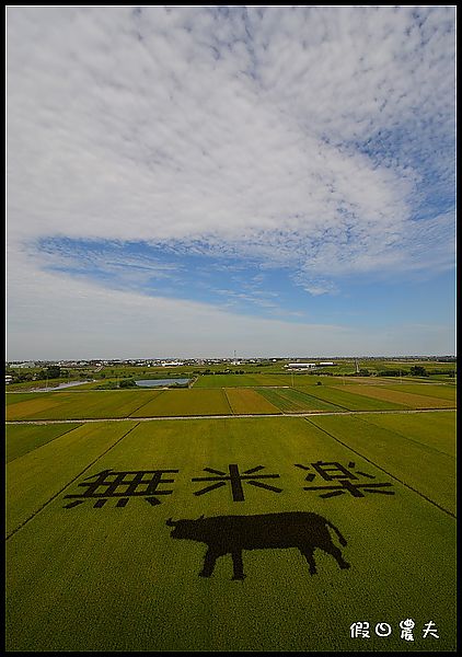 【台灣之美】外星人的傑作？莿桐、苑裡、後壁都有彩繪稻田 @假日農夫愛趴趴照