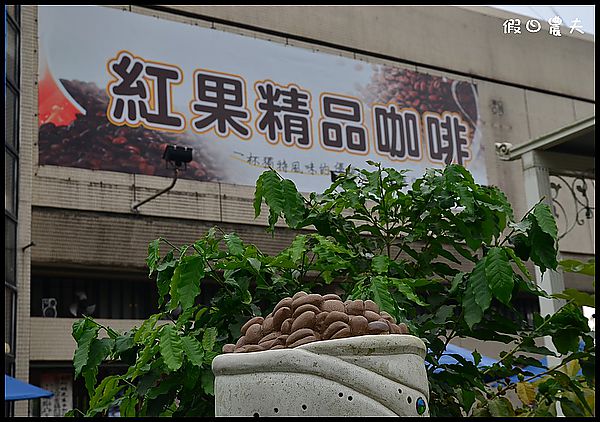 【古坑好好玩】雲林古坑華山二日遊/谷泉咖啡莊園/山海關咖啡 @假日農夫愛趴趴照