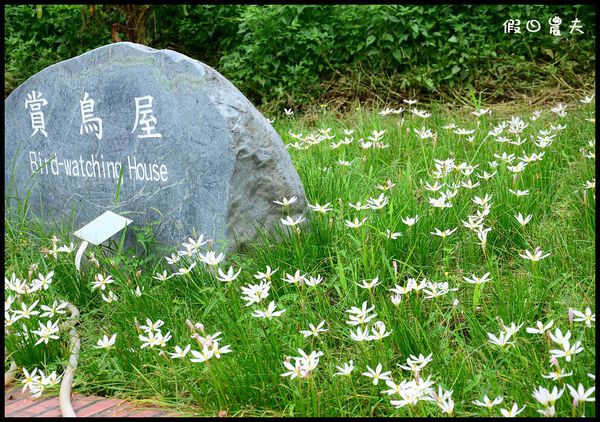 【台東景點】關山親水公園 @假日農夫愛趴趴照