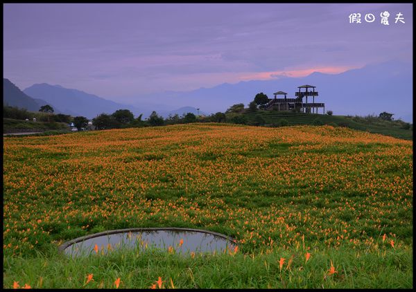 【花蓮景點】六十石山‧金針山高峰會 @假日農夫愛趴趴照