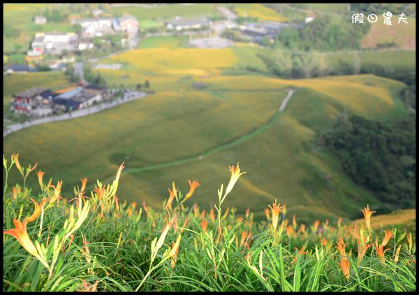 【花蓮景點】六十石山‧金針山高峰會 @假日農夫愛趴趴照