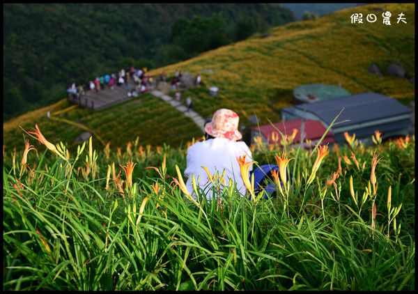 【花蓮景點】六十石山‧金針山高峰會 @假日農夫愛趴趴照