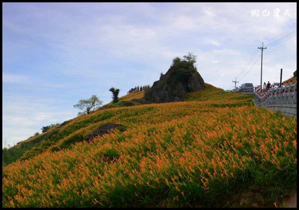 【花蓮景點】六十石山‧金針山高峰會 @假日農夫愛趴趴照