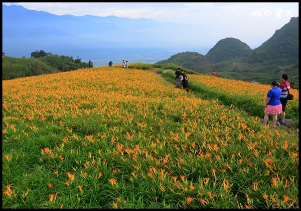 【花蓮景點】六十石山‧金針山高峰會 @假日農夫愛趴趴照