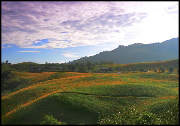 【花蓮景點】六十石山‧金針山高峰會 @假日農夫愛趴趴照