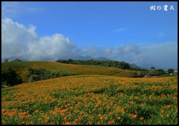 【花蓮景點】六十石山‧金針山高峰會 @假日農夫愛趴趴照