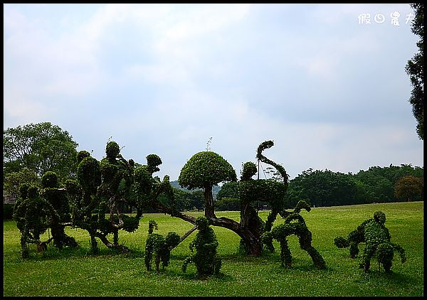 【南投景點】 充滿綠意的校園‧三育基督學院 @假日農夫愛趴趴照