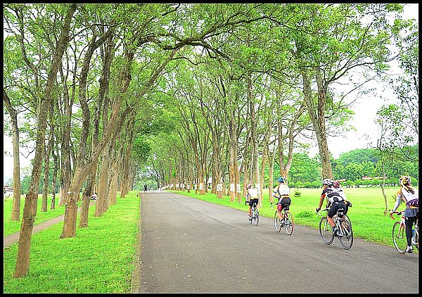 【南投景點】 充滿綠意的校園‧三育基督學院 @假日農夫愛趴趴照