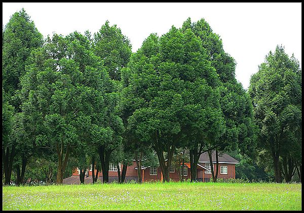 【南投景點】 充滿綠意的校園‧三育基督學院 @假日農夫愛趴趴照