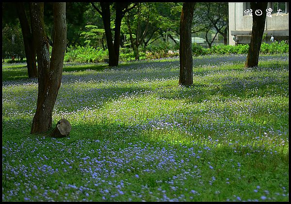 【南投景點】 充滿綠意的校園‧三育基督學院 @假日農夫愛趴趴照