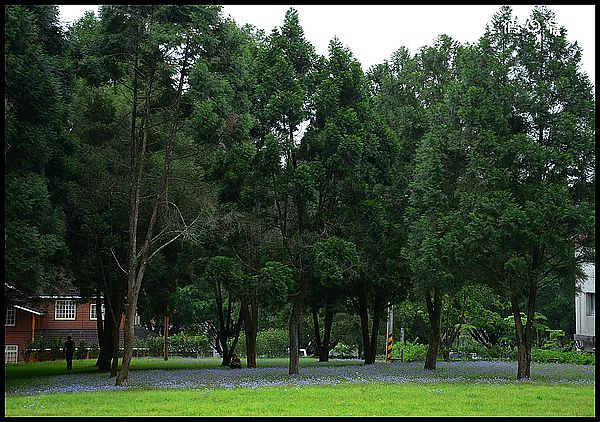 【南投景點】 充滿綠意的校園‧三育基督學院 @假日農夫愛趴趴照