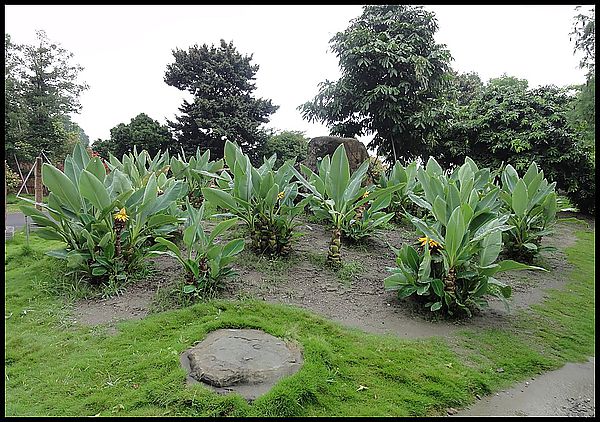 【彰化景點】萬景藝苑「迎玉佛‧佑台灣」祈福活動 @假日農夫愛趴趴照