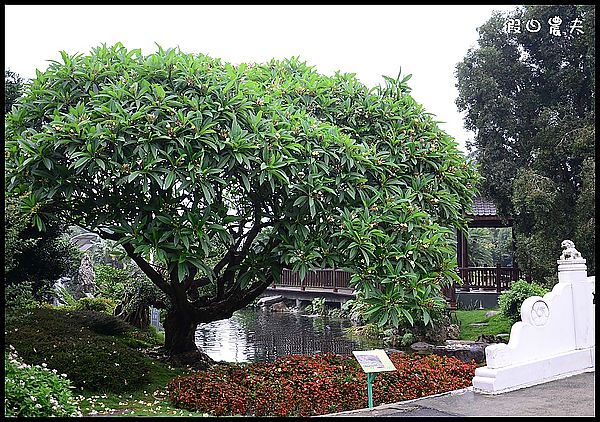 【彰化景點】萬景藝苑「迎玉佛‧佑台灣」祈福活動 @假日農夫愛趴趴照