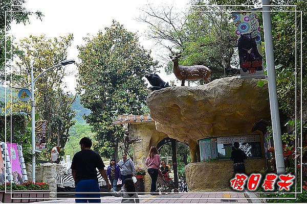 【高雄景點】壽山動物園 @假日農夫愛趴趴照