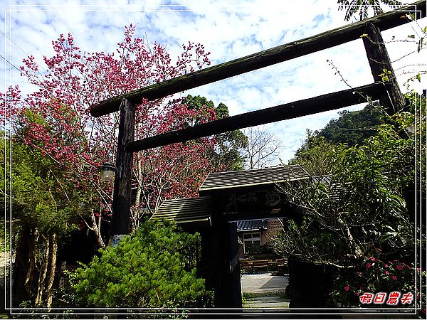 【苗栗美食】卓也小屋‧令人懷念的素食好滋味 @假日農夫愛趴趴照