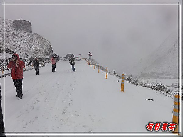 熱血武陵-合歡山下雪了‧有沒有那麼幸運阿 @假日農夫愛趴趴照