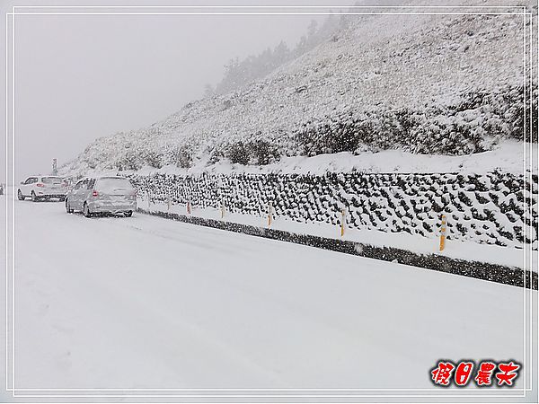 熱血武陵-合歡山下雪了‧有沒有那麼幸運阿 @假日農夫愛趴趴照