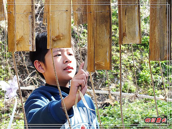 【台中旅遊】台中市大里區竹子坑文山休閒農場/烤肉/生態導覽/親子遊/一日遊 @假日農夫愛趴趴照