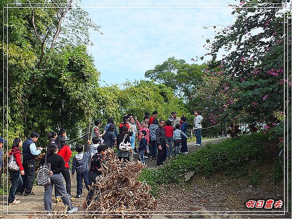 【台中旅遊】台中市大里區竹子坑文山休閒農場/烤肉/生態導覽/親子遊/一日遊 @假日農夫愛趴趴照