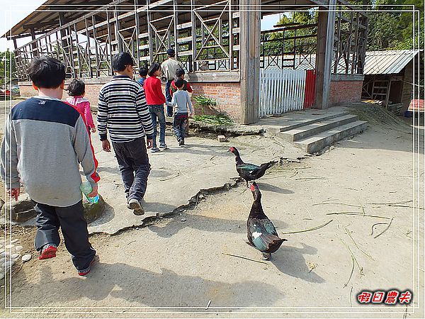 【台中旅遊】台中市大里區竹子坑文山休閒農場/烤肉/生態導覽/親子遊/一日遊 @假日農夫愛趴趴照