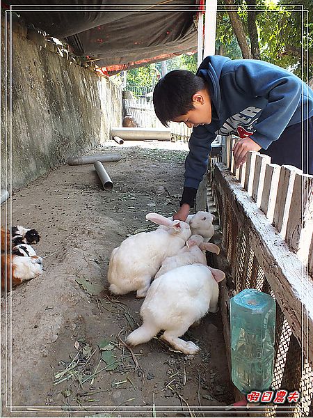 【台中旅遊】台中市大里區竹子坑文山休閒農場/烤肉/生態導覽/親子遊/一日遊 @假日農夫愛趴趴照