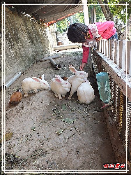 【台中旅遊】台中市大里區竹子坑文山休閒農場/烤肉/生態導覽/親子遊/一日遊 @假日農夫愛趴趴照