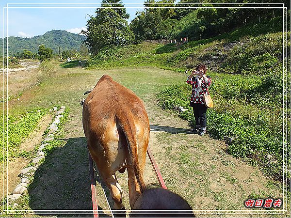 【台中旅遊】台中市大里區竹子坑文山休閒農場/烤肉/生態導覽/親子遊/一日遊 @假日農夫愛趴趴照