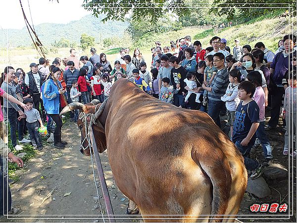 【台中旅遊】台中市大里區竹子坑文山休閒農場/烤肉/生態導覽/親子遊/一日遊 @假日農夫愛趴趴照