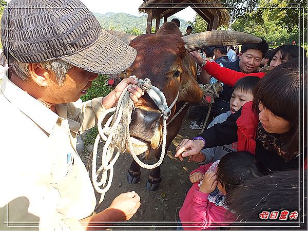 【台中旅遊】台中市大里區竹子坑文山休閒農場/烤肉/生態導覽/親子遊/一日遊 @假日農夫愛趴趴照