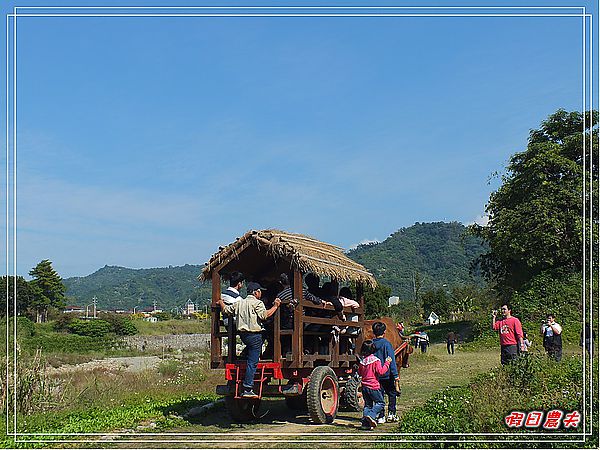 【台中旅遊】台中市大里區竹子坑文山休閒農場/烤肉/生態導覽/親子遊/一日遊 @假日農夫愛趴趴照