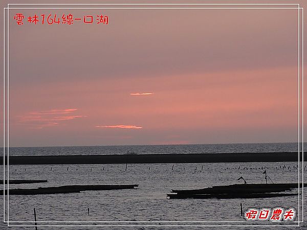 雲林164線好好玩-口湖 @假日農夫愛趴趴照