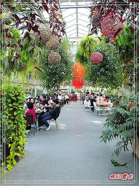 【彰化景點】美麗的落羽松in菁芳園 @假日農夫愛趴趴照