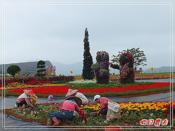 2011南投花卉嘉年華 @假日農夫愛趴趴照