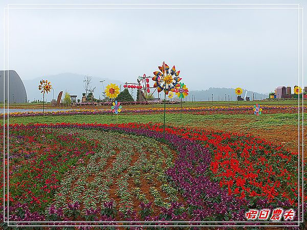 2011南投花卉嘉年華 @假日農夫愛趴趴照