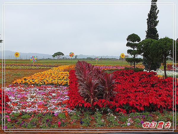 2011南投花卉嘉年華 @假日農夫愛趴趴照