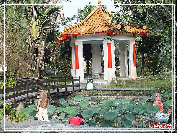 【高雄Go High高雄好好玩。高雄玩什麼】美濃半日遊 @假日農夫愛趴趴照