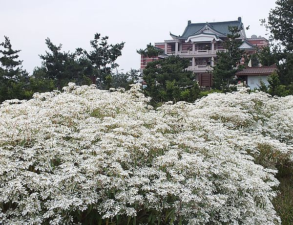 【南投景點】易經大學・賞雪趣 @假日農夫愛趴趴照