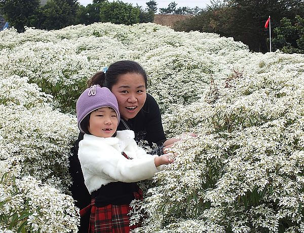 【南投景點】易經大學・賞雪趣 @假日農夫愛趴趴照