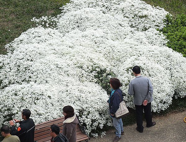 【南投景點】易經大學・賞雪趣 @假日農夫愛趴趴照