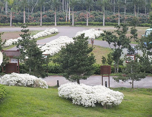 【南投景點】易經大學・賞雪趣 @假日農夫愛趴趴照