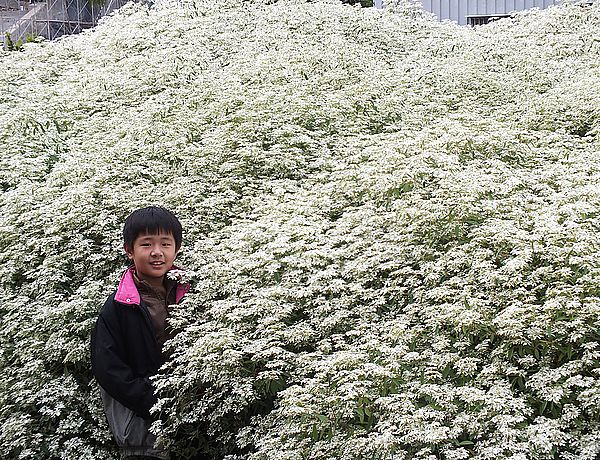 【南投景點】易經大學・賞雪趣 @假日農夫愛趴趴照