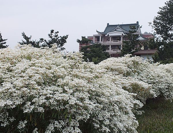 【南投景點】易經大學・賞雪趣 @假日農夫愛趴趴照