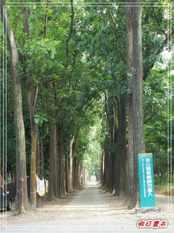 【高雄Go High高雄好好玩。高雄玩那裡】新威森林公園 @假日農夫愛趴趴照