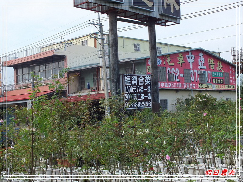 【高雄Go High高雄好好玩。高雄玩那裡】悠遊山城樹玫瑰 @假日農夫愛趴趴照