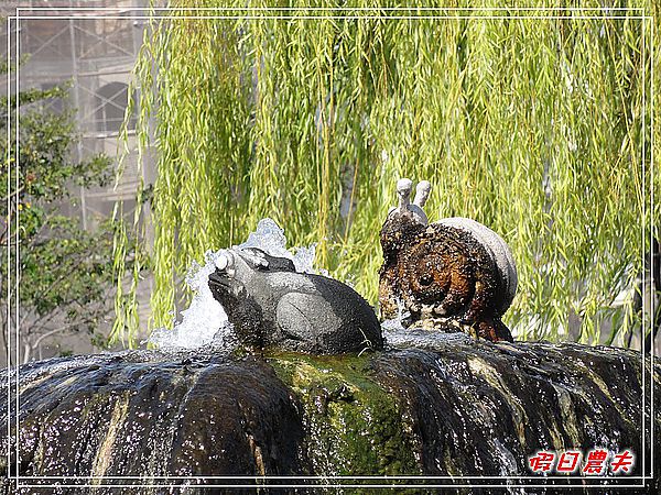 新都生態公園 @假日農夫愛趴趴照