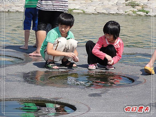 分享幸福甜蜜滋味拿大獎 @假日農夫愛趴趴照