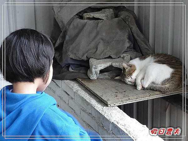 平溪線一日遊。猴硐站 @假日農夫愛趴趴照