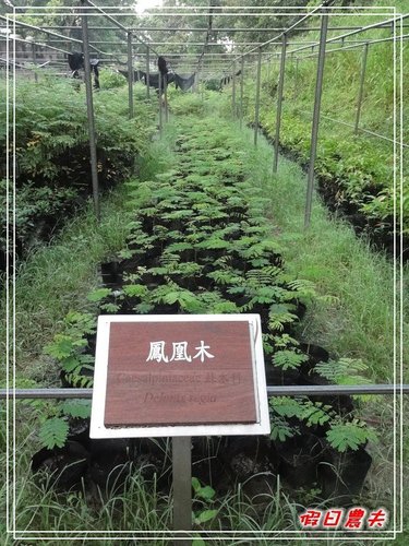 GOMAJI團購券-新化國家植物園(100.7.30~31) @假日農夫愛趴趴照