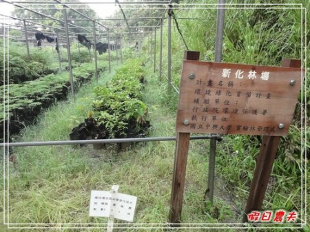 GOMAJI團購券-新化國家植物園(100.7.30~31) @假日農夫愛趴趴照