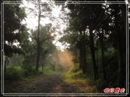 GOMAJI團購券-新化國家植物園(100.7.30~31) @假日農夫愛趴趴照